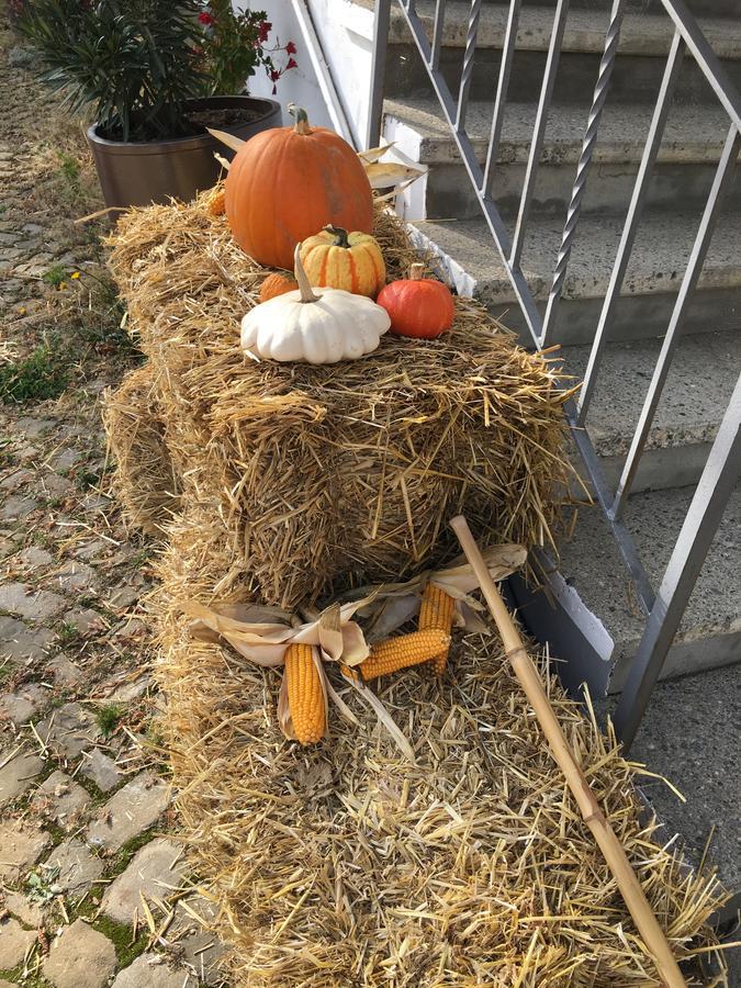 B&B Baeren Rüeggisberg Zewnętrze zdjęcie