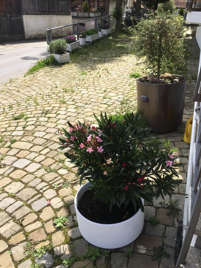 B&B Baeren Rüeggisberg Zewnętrze zdjęcie